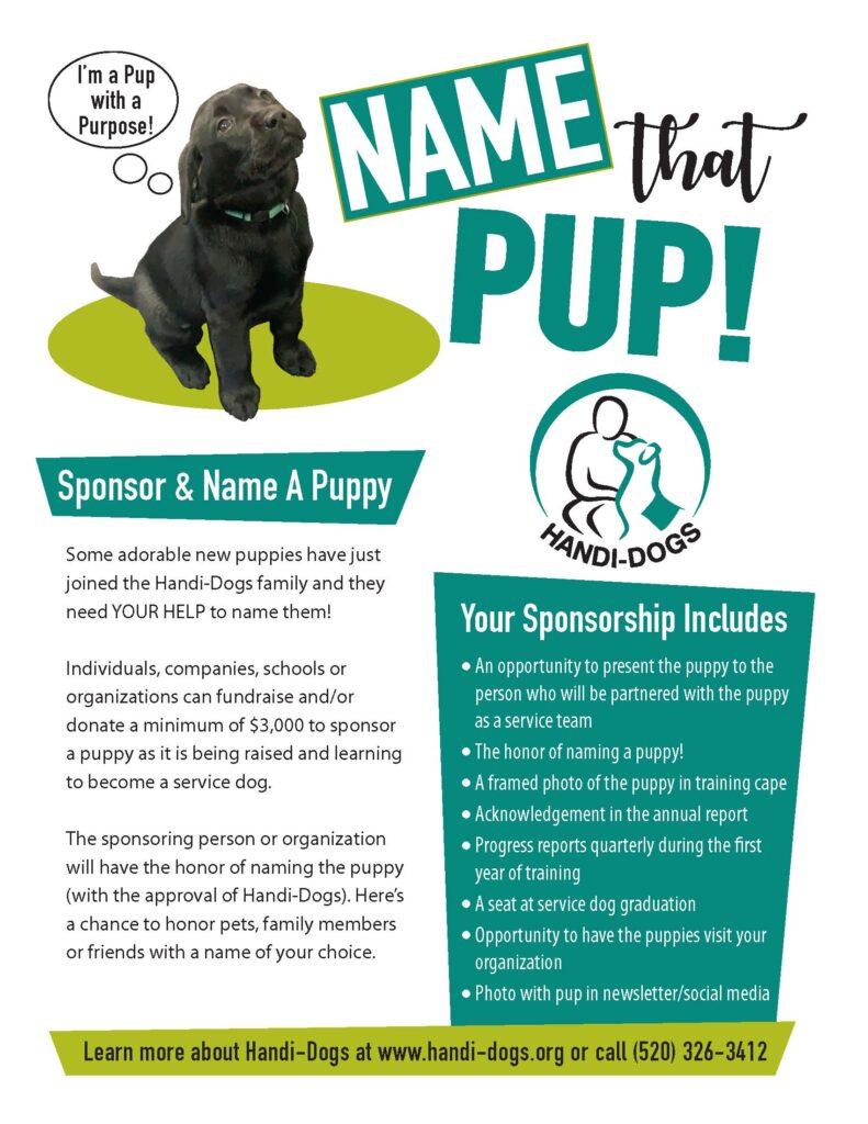 how do you get a puppy to know its name